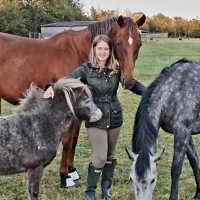 Lucy Batstone equine lawyer