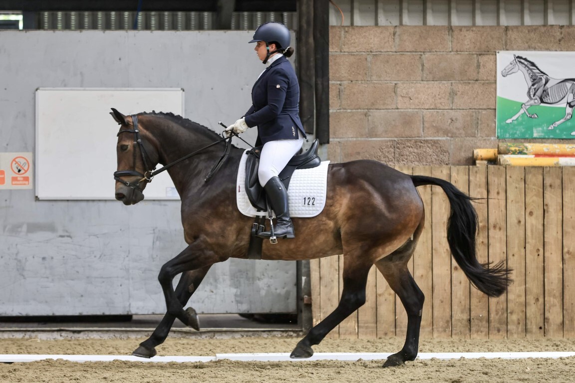 Why our Lara Jayne Davies makes an excellent equine lawyer