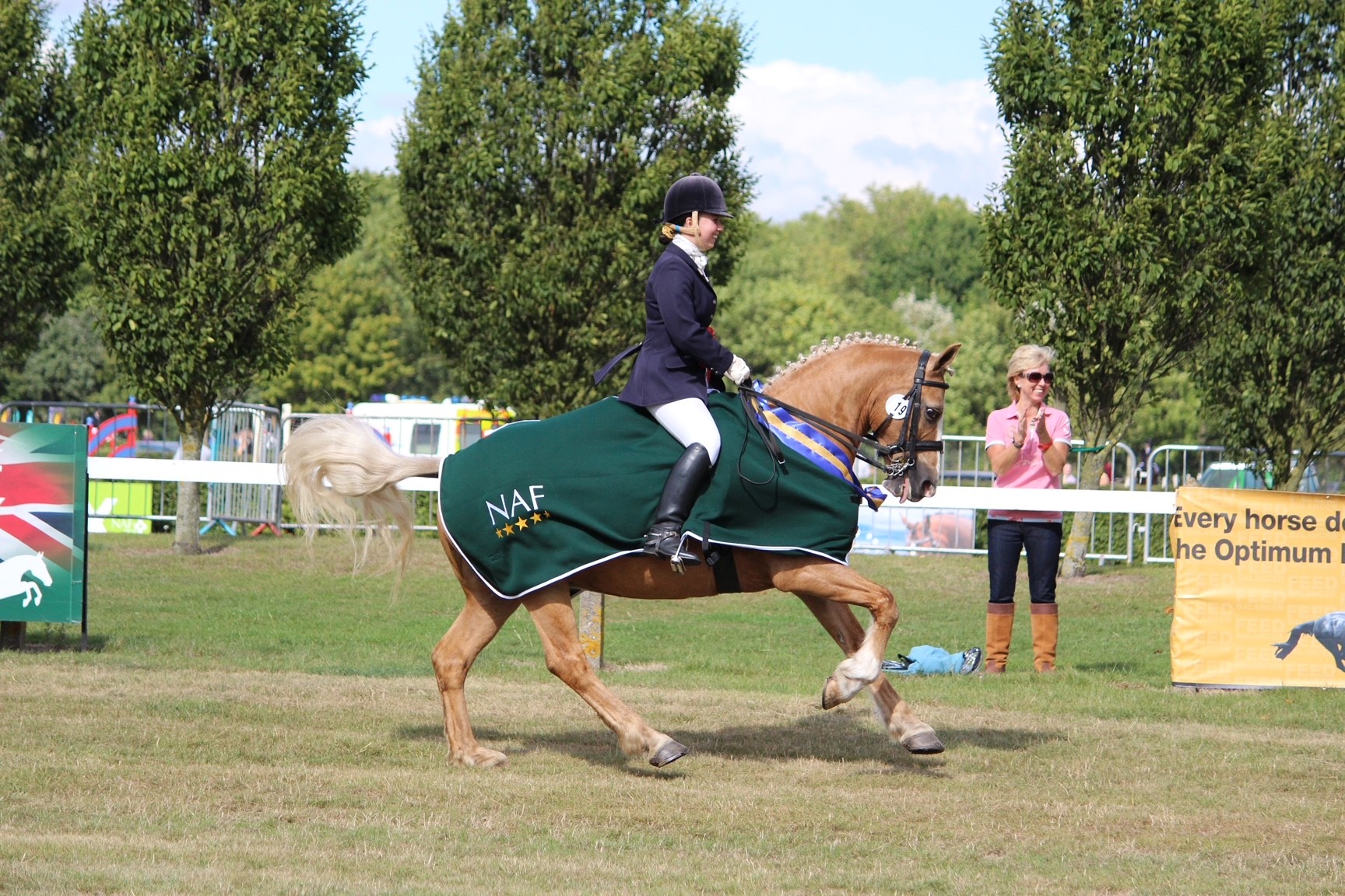 Essential Tips for Drafting Horse Loan Agreements