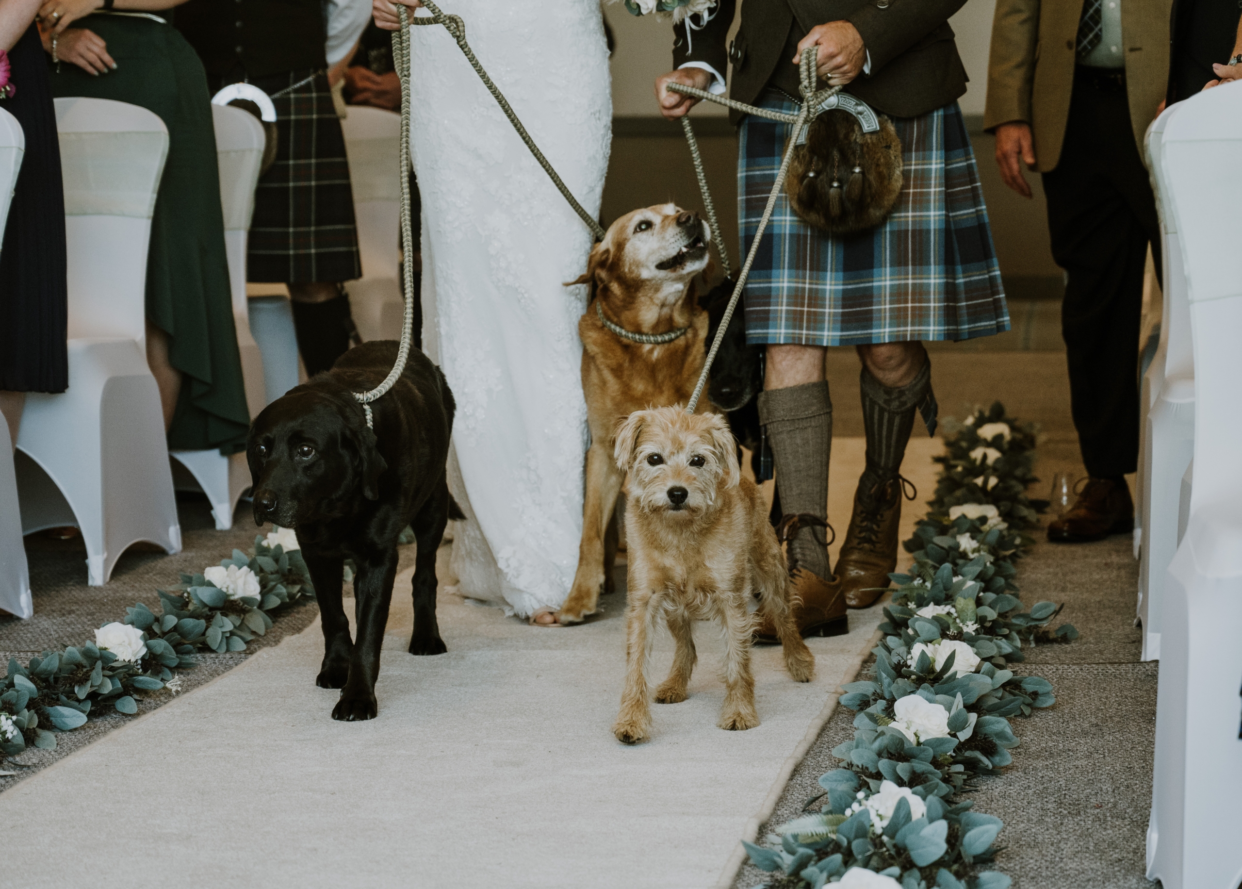 The Essential Guide to Pet-Nups: Securing Your Pet’s Future