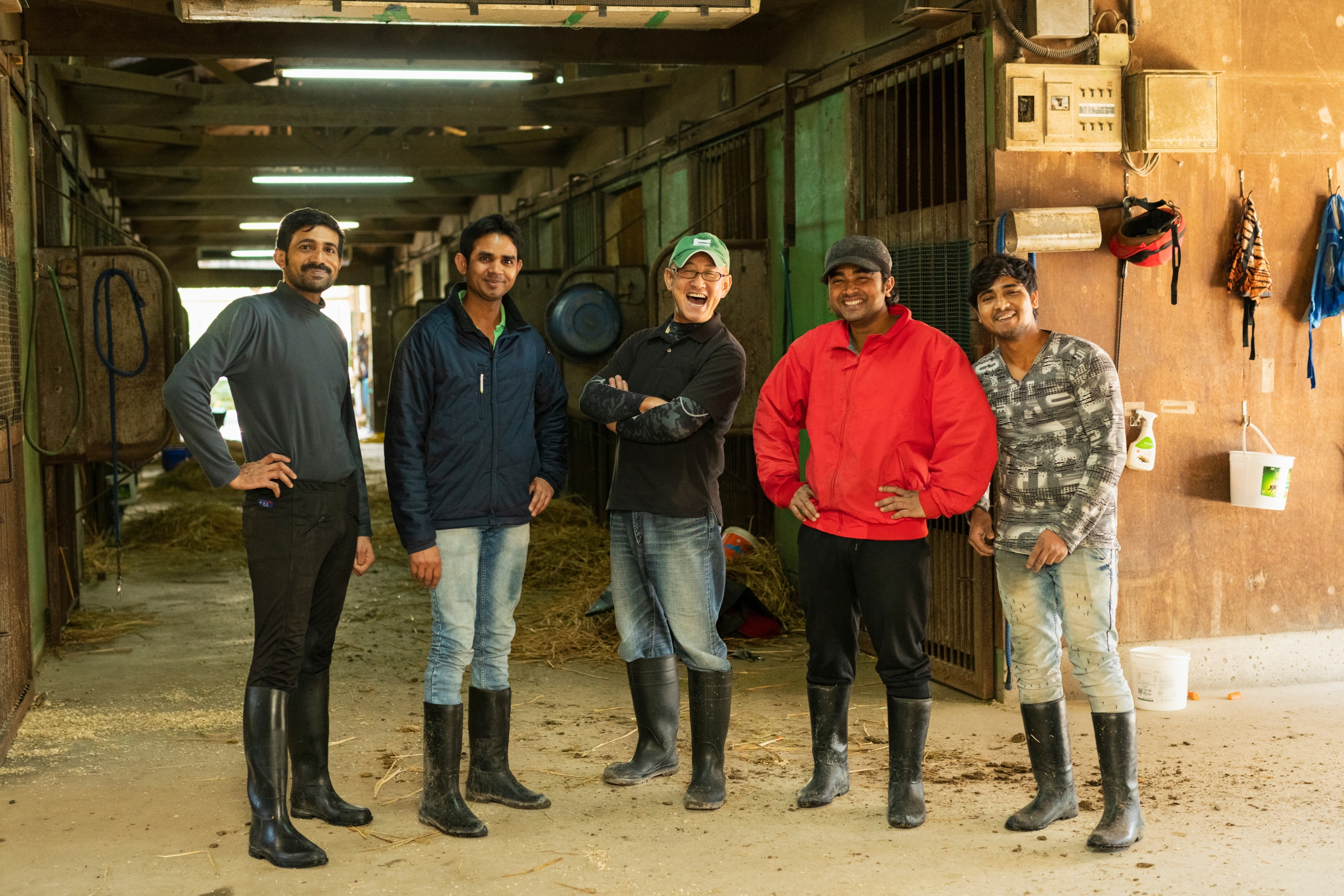 racehorse ownership advice racehorse ownership